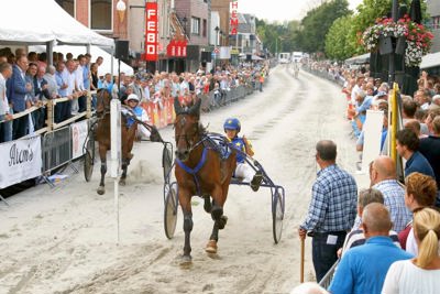 De Harddraverij in Schagen